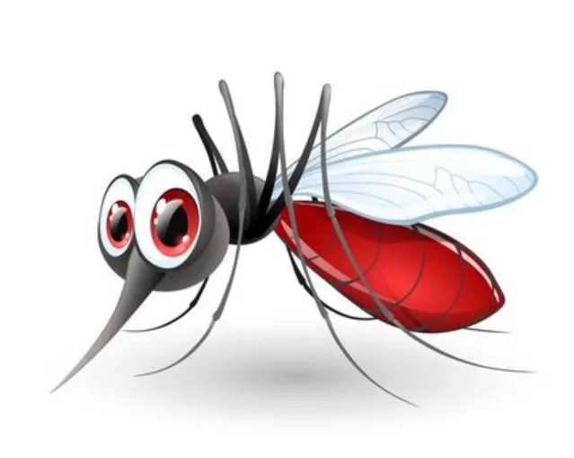 Cycle Life of Mosquito