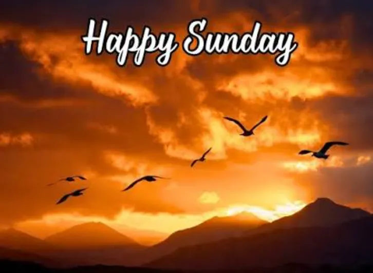 happy sunday blessings