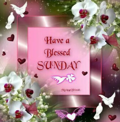 have a blessed sunday