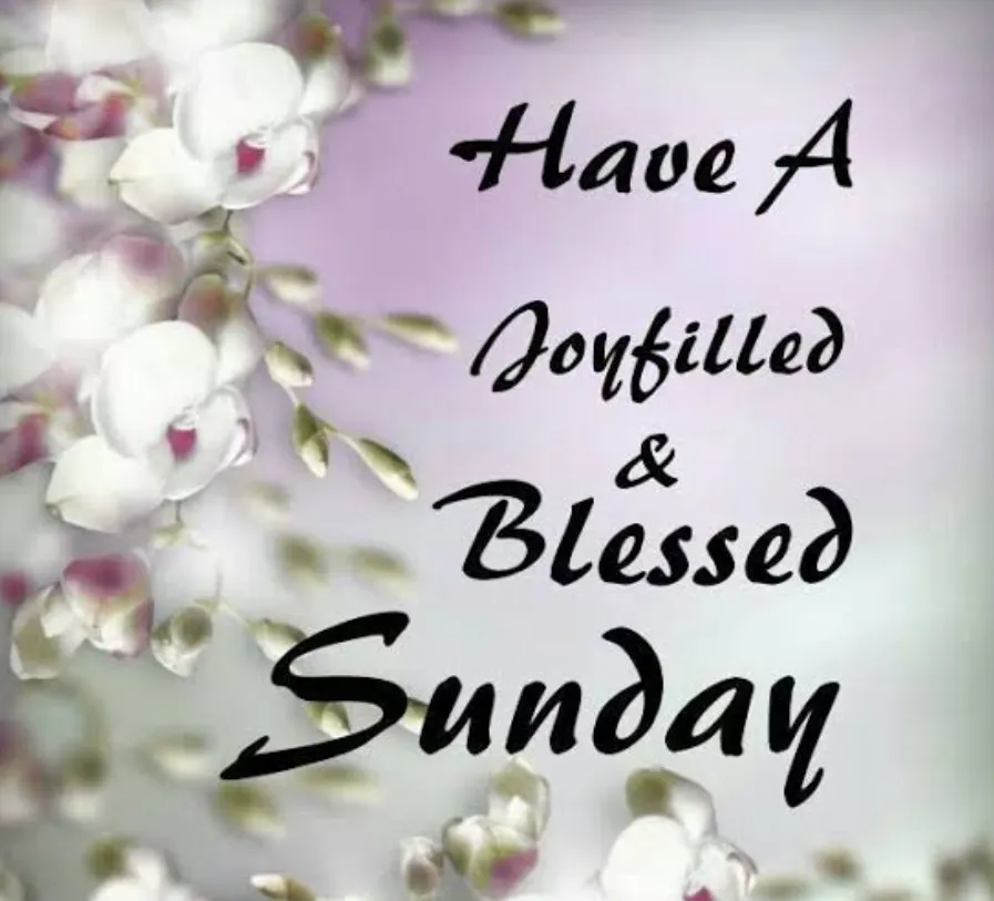 have a blessed sunday