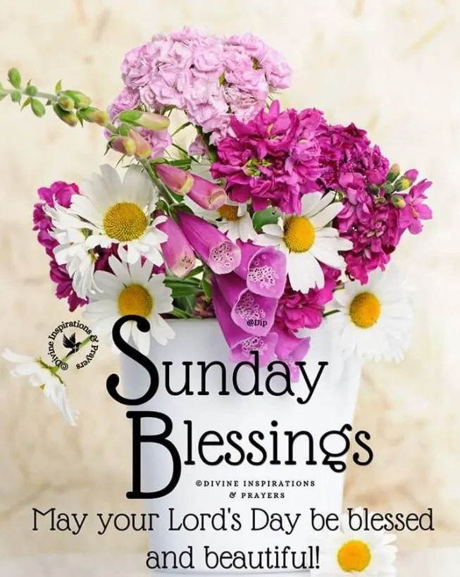 141+ Positive Sunday Blessings to Inspire Peace, Joy & New Beginnings